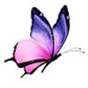 cynthiacantelmi